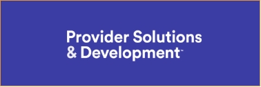 Provide Solution Development